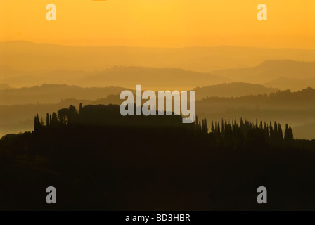 Sunrise Silhouetten, die Toskana und Reihen von Zypressen Kiefern, Toskana, Italien Stockfoto