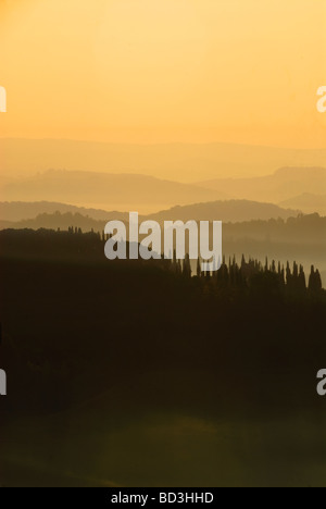 Sunrise Silhouetten, die Toskana und Reihen von Zypressen Kiefern, Toskana, Italien Stockfoto