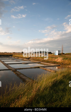 Meer Salz Produktionspools auf der Ile de Noirmoutier in Frankreich Stockfoto