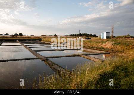 Meer Salz Produktionspools auf der Ile de Noirmoutier in Frankreich Stockfoto
