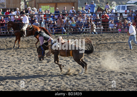 Cowboy geworfen aus ein unruhiges Wildpferd in einem Rodeo in Montana Stockfoto