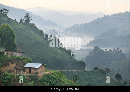 Am frühen Morgen in der Nähe von Kisoro Uganda Stockfoto