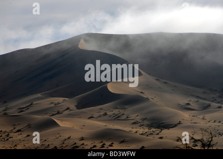 Nebligen Morgen in Koichab Dünen in der Nähe von Lüderitz in Namibia-Namib-Wüste. Regen fällt nur selten hier, aber viele Säugetiere hier überleben Stockfoto