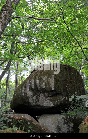 Großen Granitblock im Wald Deux-Sèvres, Frankreich Stockfoto