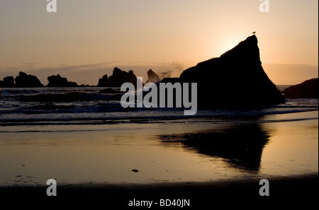 Meer-Stacks bei Sonnenuntergang, Bandon, Oregon Stockfoto