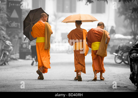 Junge buddhistische Mönche zu Fuß die Straße runter in Luang Prabang, Laos Stockfoto