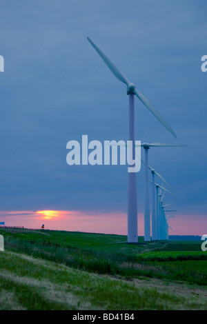 Landschaft von Windkraftanlagen bei Sonnenuntergang in Almere Niederlande Stockfoto