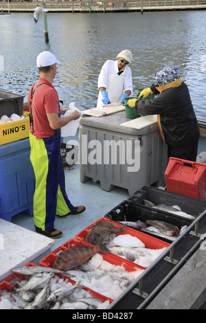 Fischer, filetieren von Fisch auf Rückseite Fischerboot zum Verkauf bereit Stockfoto