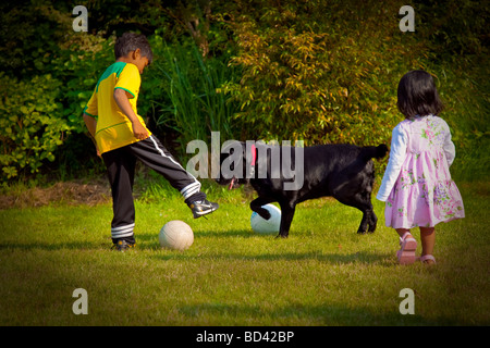 Kinder spielen Fußball im Hinterhof mit Hund, Niederlande Stockfoto