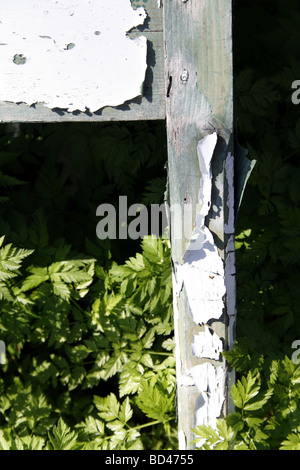 eine alte Holzstuhl im Unterholz Rasen links Stockfoto