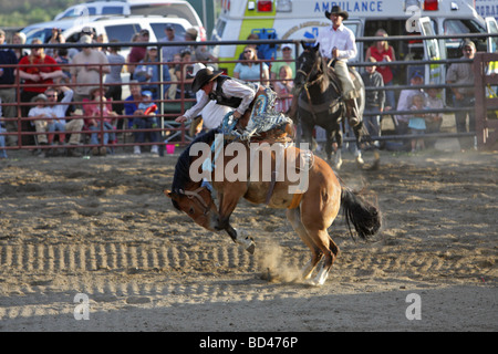 Cowboy Reiten ein unruhiges Wildpferd in der Arena bei einem Rodeo in Montana Stockfoto