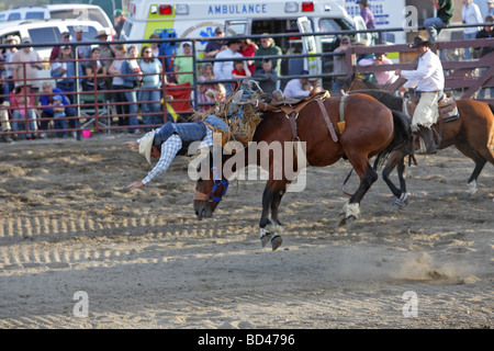 Cowboy geworfen aus ein bucking Bronco bei einem Rodeo in Montana Stockfoto