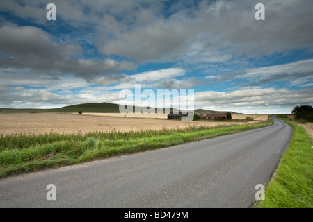 Ansicht des Milk Hill auf die Pewsey downs in der Nähe von Marlborough in Wiltshire Uk Stockfoto