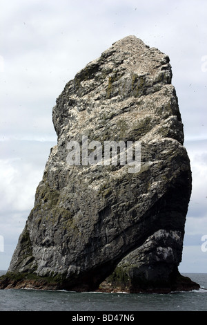 Stac Lee, St. Kilda, UNESCO World Heritage Site, Schottland Stockfoto