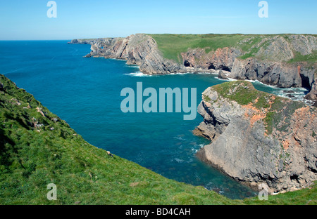 Küste in der Nähe von Elegug Stapel pembroke Stockfoto