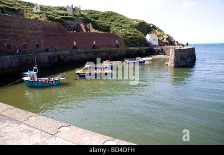 Porthgain Hafen Pembrokeshire Wales Stockfoto