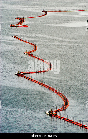 Schiffe angedockt an CFB, Canadian Forces Base Halifax, Nova Scotia, Kanada Stockfoto