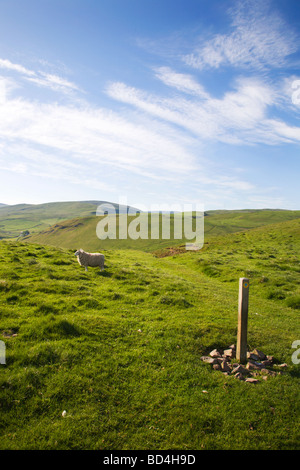 Wanderweg in der Nähe von Alwinton oberen Coquetdale Northumberland, England Stockfoto