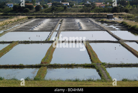 Meer Salz Produktionspools auf der Ile de Noirmoutier in Frankreich Stockfoto