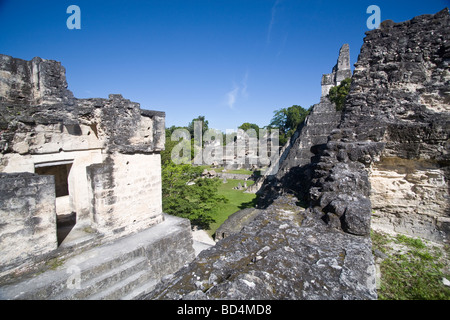 Maya-Ruinen von Tikal, Guatemala Stockfoto