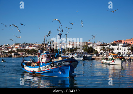 Blauen Fischerboot, gefolgt von Möwen im Hafen von Lagos, Algarve, Portugal Stockfoto