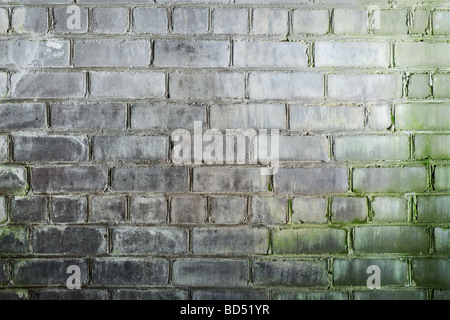 Zusammenfassung Hintergrund mit Muff alte Grunge-Mauer Stockfoto