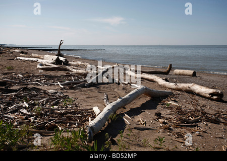 Verschmutzter Strand am Lake Erie Park Ohio in den USA USA Niemand von oben aus flacher Winkel verdirbt die Natur in horizontaler Hochauflage Stockfoto