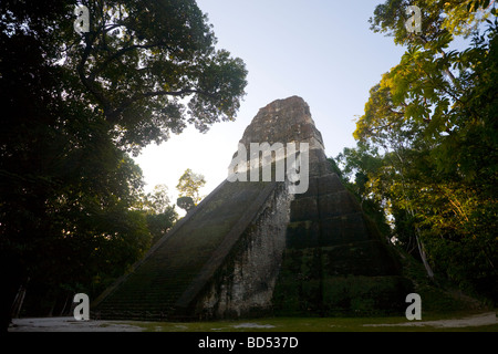 Sonnenaufgang auf der Maya-Ruinen von Tikal, Guatemala Stockfoto