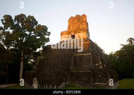 Sonnenaufgang auf der Maya-Ruinen von Tikal, Guatemala Stockfoto