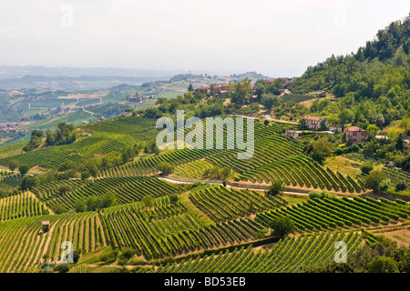 Langhe Provinz Cuneo Landschaft von la morra Stockfoto