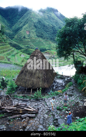 Ifugao Dorf Haus Reis Terrassen Banaue Philippinen Stockfoto