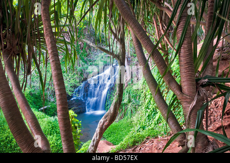 Obere Königin Bad fällt Kauai Hawaii Stockfoto