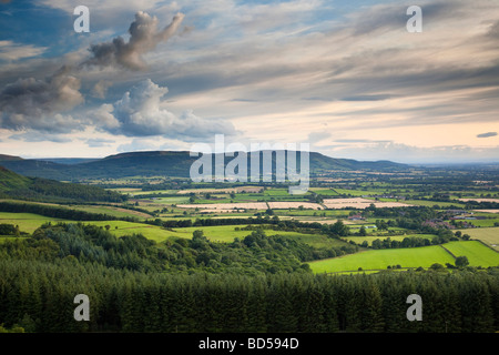 Cleveland Hills von Kildale Moor North York Moors National Park Stockfoto