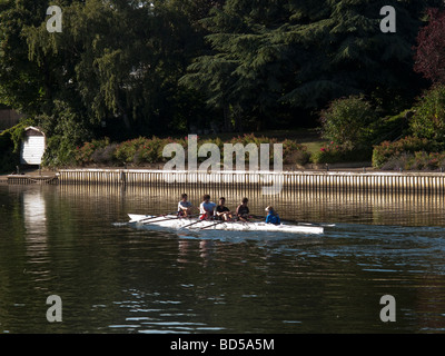 Rudern auf dem Fluss Fluss Themse Sunbury Surrey Stockfoto