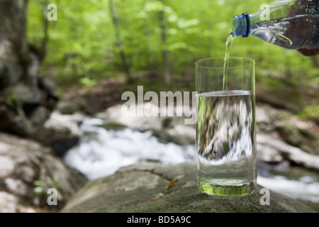 Abgefülltes Wasser in ein Glas im Wald Stockfoto