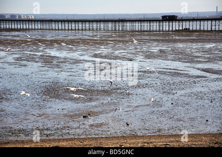 Southend Pier, Southend-on-Sea, Essex, England, Vereinigtes Königreich Stockfoto