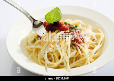 Spaghetti Bolognese auf einer Gabel Stockfoto