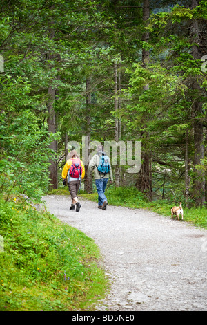 Paare, die einen Hund auf einem Waldweg in Bayern laufen Stockfoto