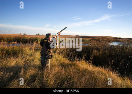 Erfahrener Jäger Timmy Stein soll seine Schrotflinte an einer eingehenden Ente in einen Sumpf in North Dakota westlich von Minot. Stockfoto