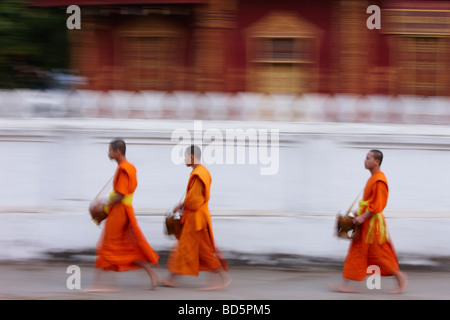 Mönche zu Fuß die Straße in der Dämmerung sammeln Geschenke von Lebensmitteln, Luang Prabang, Laos Stockfoto
