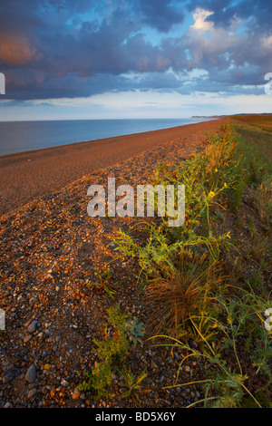 Ein launisch Sommerabend auf der Kiesstrand am Salthouse an der Nordküste Norfolk Stockfoto