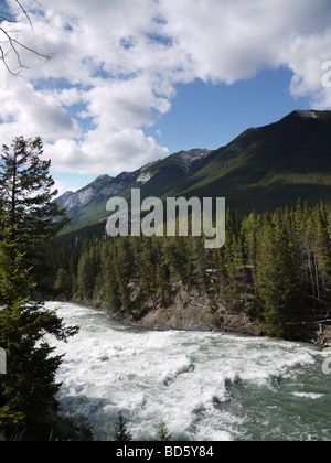 Bow River Falls und das Fairmont Hotel in Banff Nationalpark in Alberta, Kanada Stockfoto