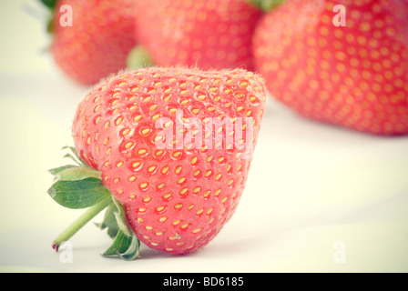 Frische rote Erdbeeren Stockfoto