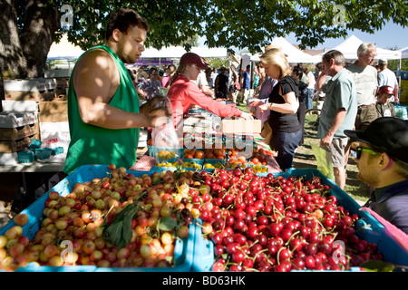 Kirschen zum Verkauf am Bauernmarkt in Bend, Oregon Stockfoto