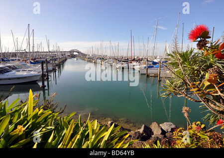 Vistas der Westhaven Marina mit den wichtigsten Arch der Auckland Harbour Bridge im Hintergrund. Stockfoto