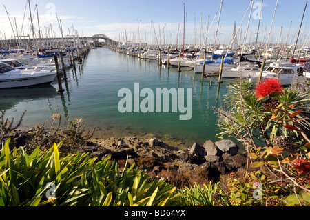 Vistas der Westhaven Marina mit den wichtigsten Arch der Auckland Harbour Bridge im Hintergrund. Stockfoto