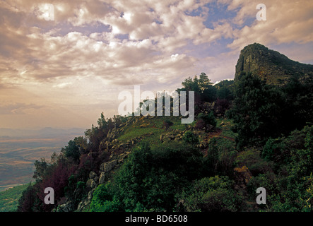 Nyangani Berge, Nyanga Nationalpark, Nyanga District, Provinz Manicaland, Simbabwe, Afrika Stockfoto