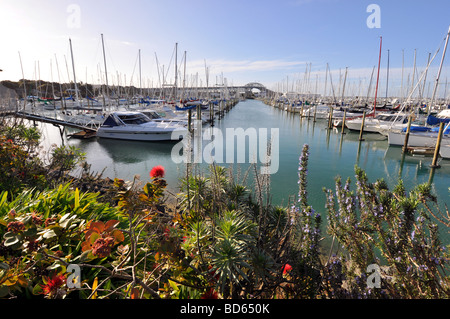 Vistas der Westhaven Marina mit den wichtigsten Arch der Auckland Harbour Bridge im Hintergrund. Stockfoto