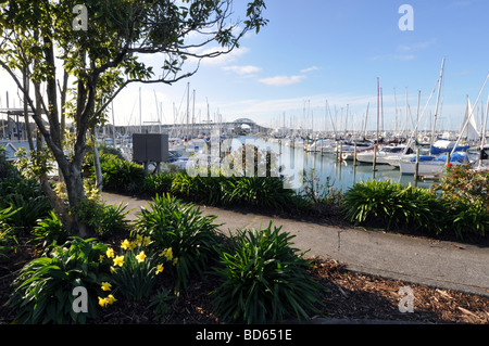 Vistas der Westhaven Marina mit den wichtigsten Arch der Auckland Harbour Bridge im Hintergrund. Stockfoto