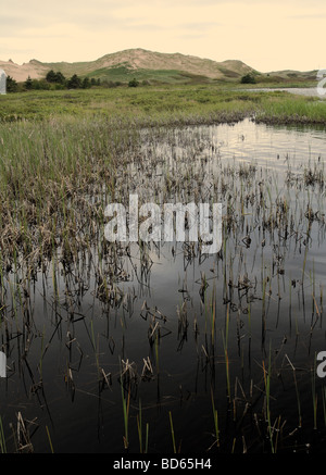 Greenwich Sanddünen, Prince-Edward-Insel Stockfoto